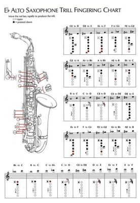 how to read saxophone sheet music: the role of rhythm in music composition